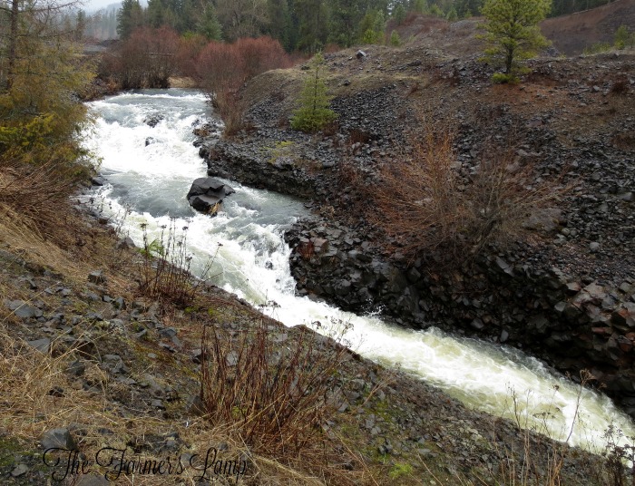 filtering-well-water